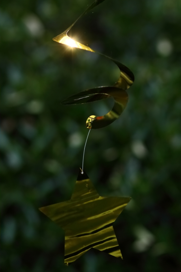 2012 07 13 8033